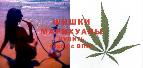 гидра Богданович