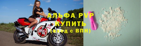 прущие крисы Бородино