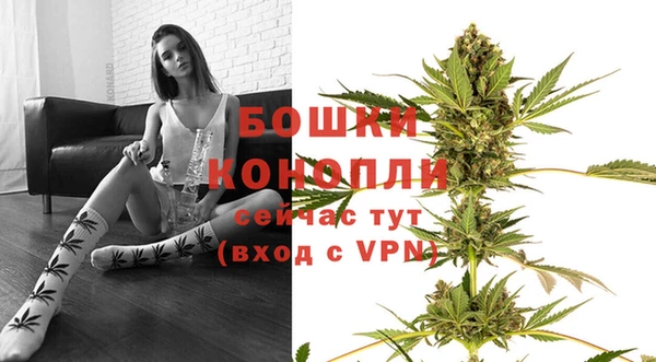прущие крисы Бородино