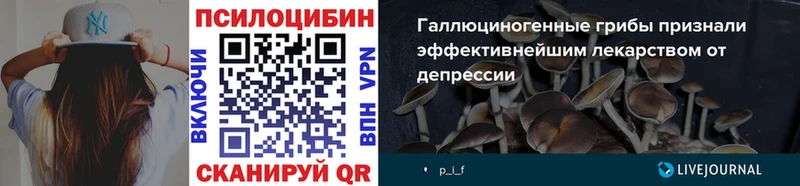 Псилоцибиновые грибы Psilocybine cubensis  ссылка на мегу зеркало  Каменногорск 
